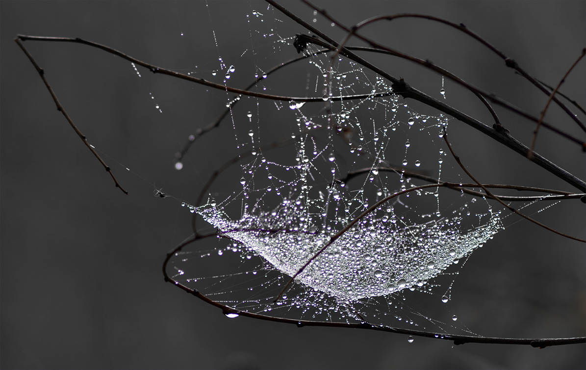 Meister und sein Werk