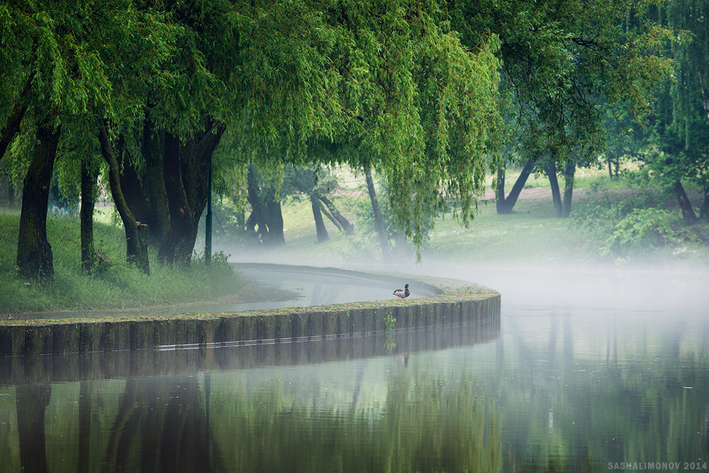 Nebel nach dem Sturm
