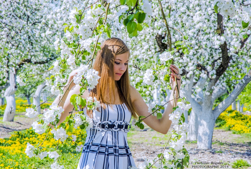 in blühende Gärten und sanften Farben Mai