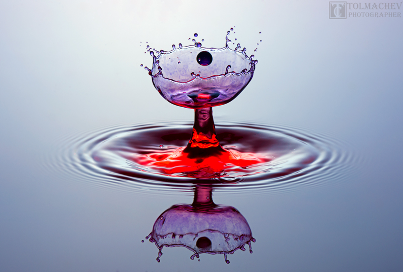 Splash "volle Tasse"