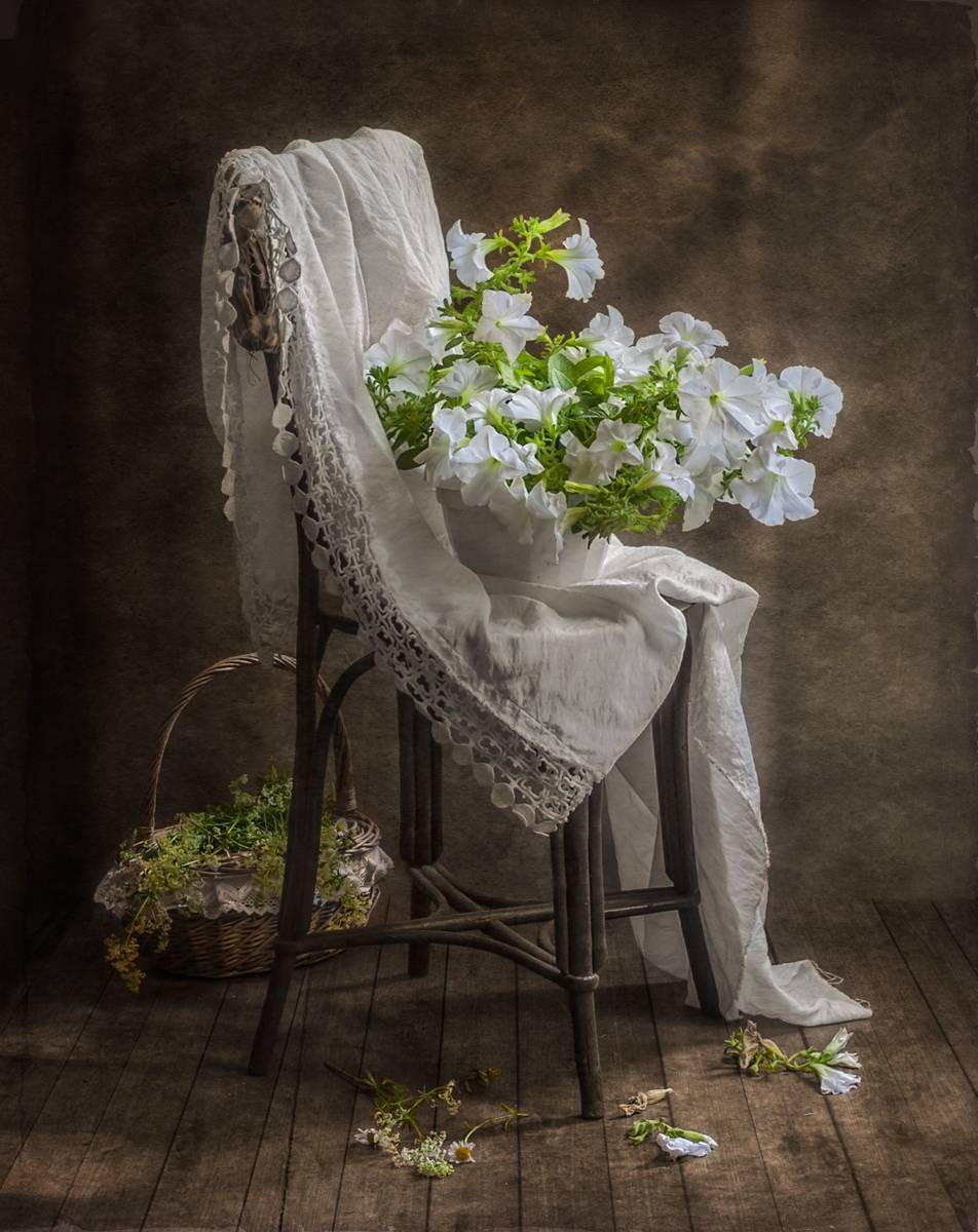 Aus der Serie "In meinem Garten blühen Petunien ..."