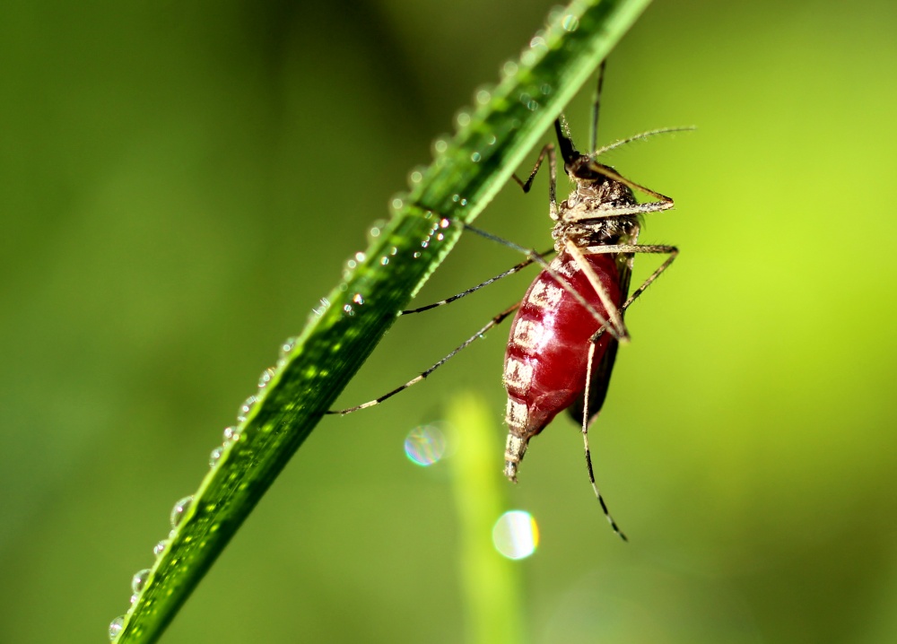 nach einer herzhaften Mahlzeit