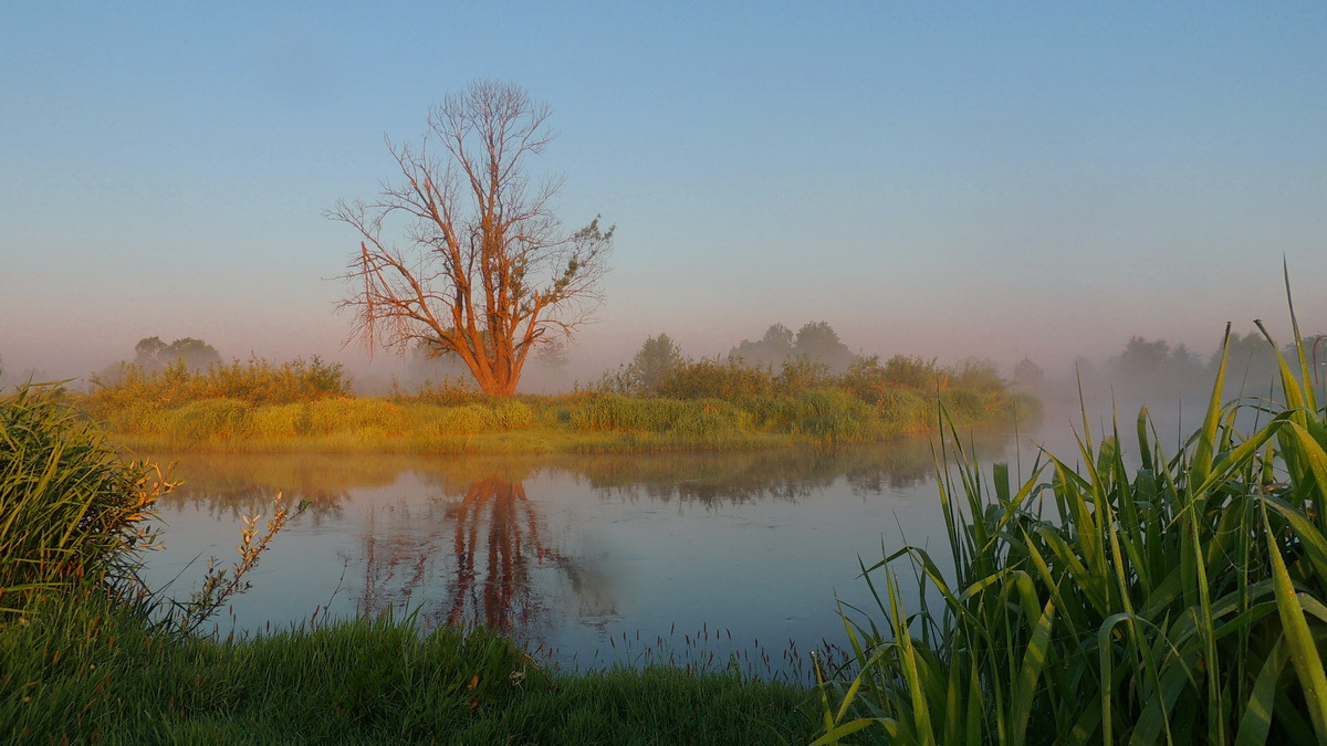 Und auf der anderen Seite ...