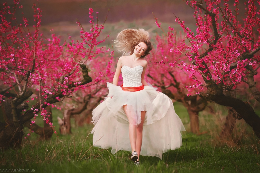 Hochzeitsfotograf in Sewastopol | Hochzeitsfotografen Sewastopol