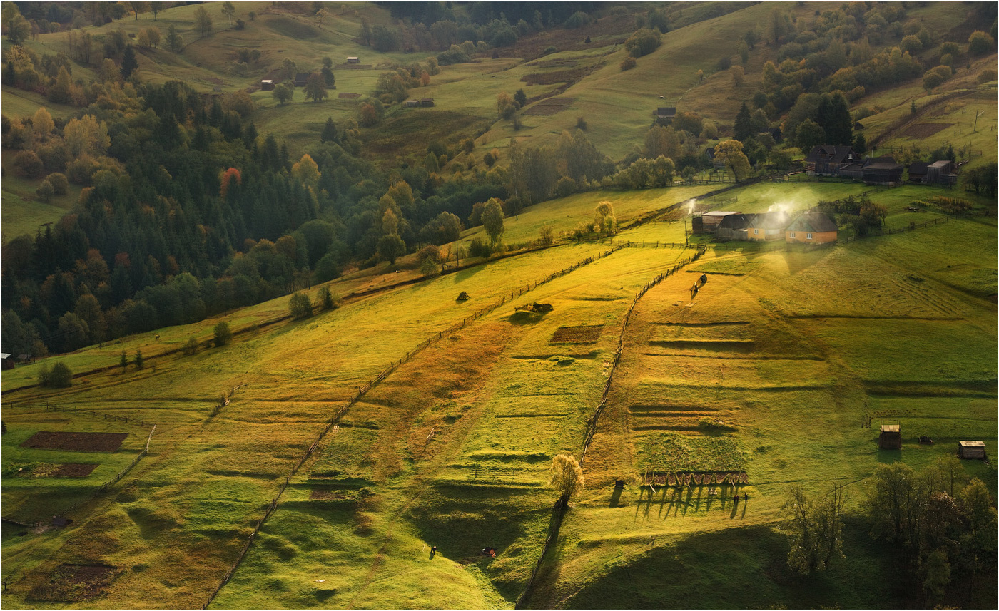 Schmilzt Nebel in der Morgensonne ...