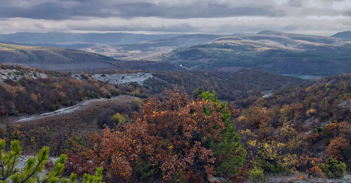 Im Dunst der Herbst ...
