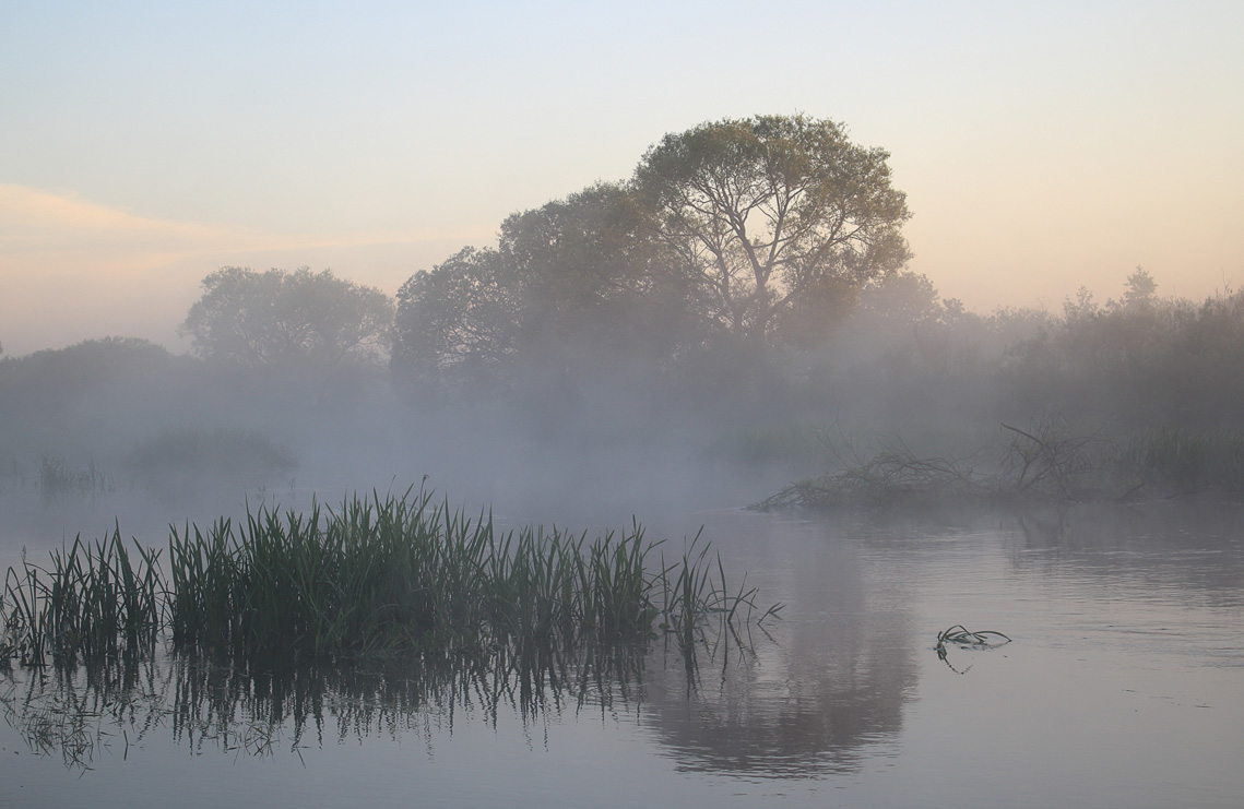 Nebel am frühen Morgen auf Olsen