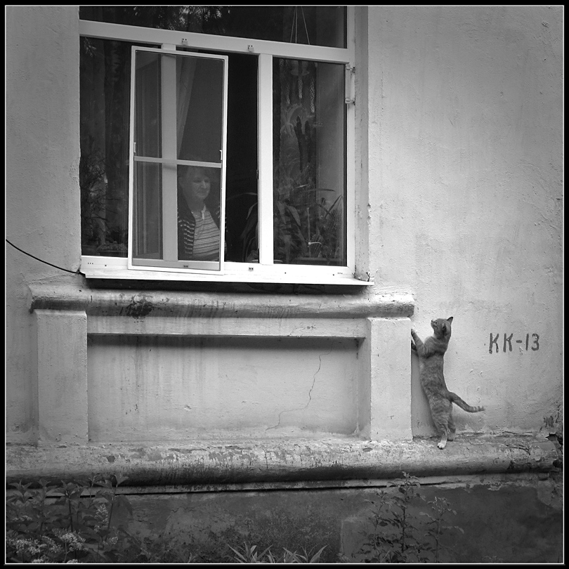 Rückkehr des verlorenen Sohnes