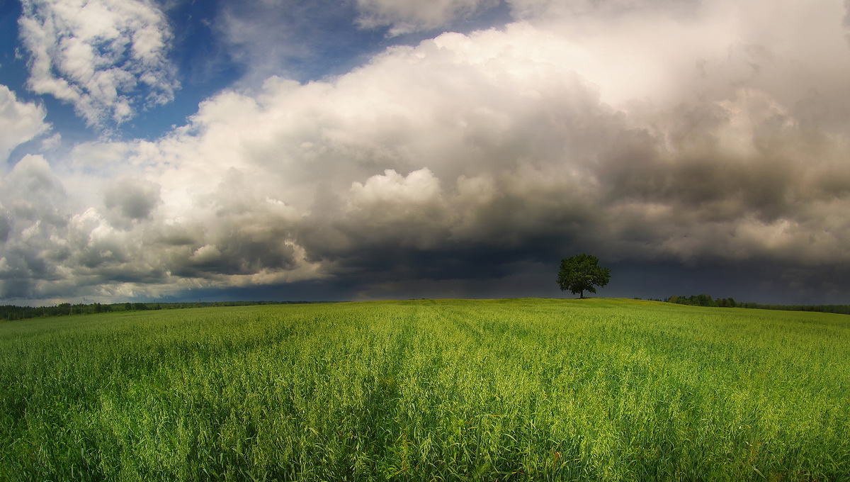 gibt es ein Gewitter hängt über