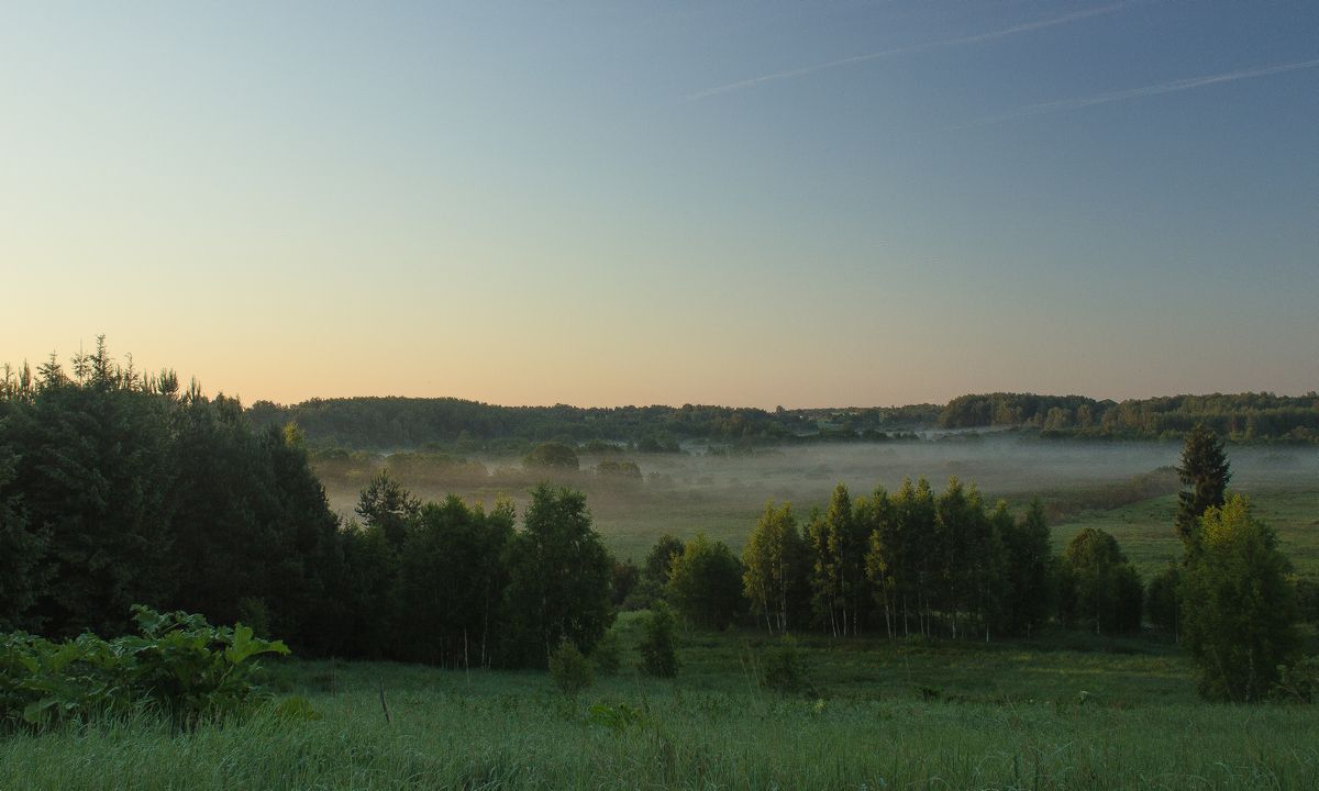 Dawn in den Bereichen