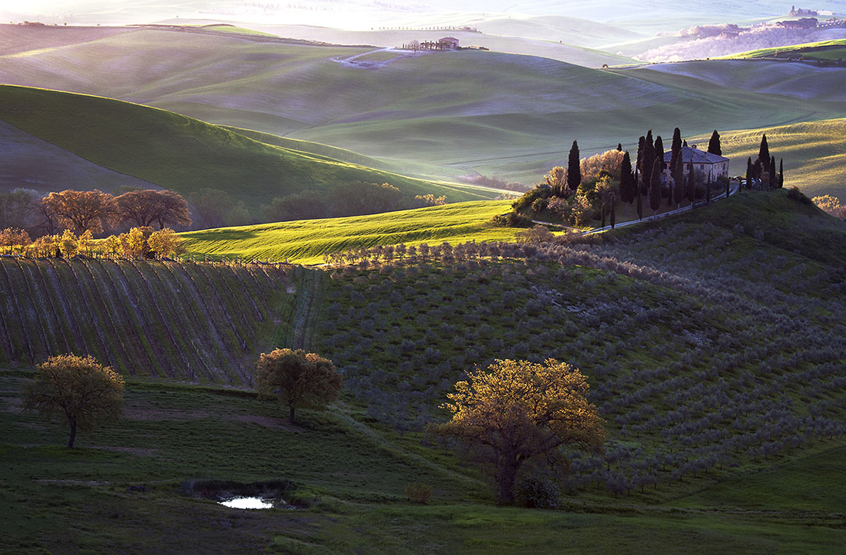 Tuscan Morning