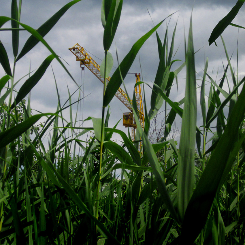 "RostovDzhungliStroy"