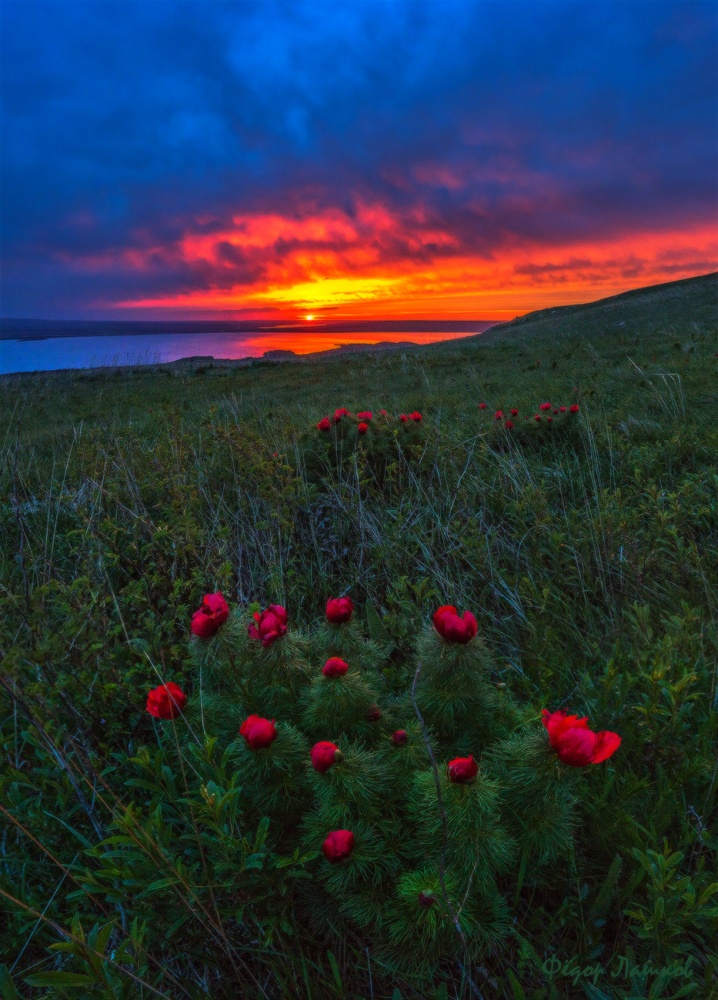 Shades of Scharlach.