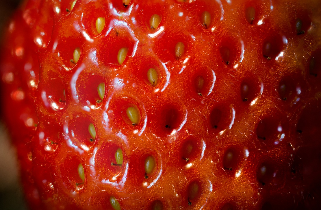Erdbeeren