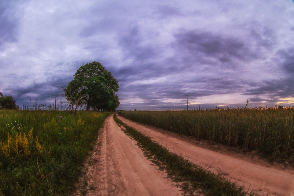 Nach dem Sonnenuntergang