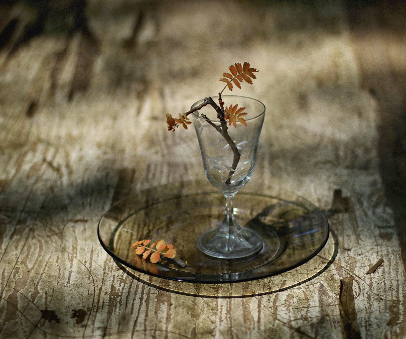 Gebadet im Schein des Sonnenuntergangs ....