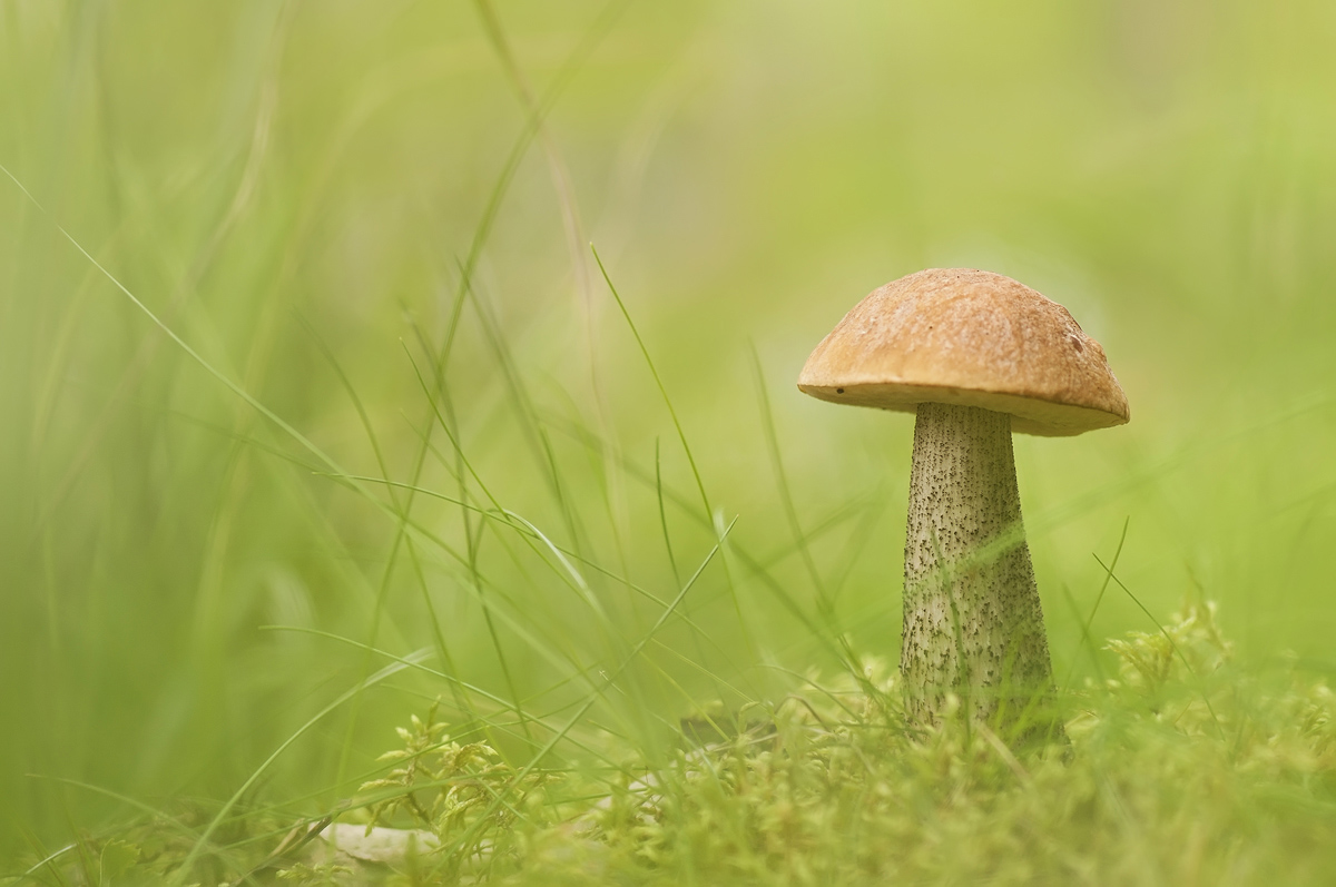 In der Stille, aber nicht verrückt ...