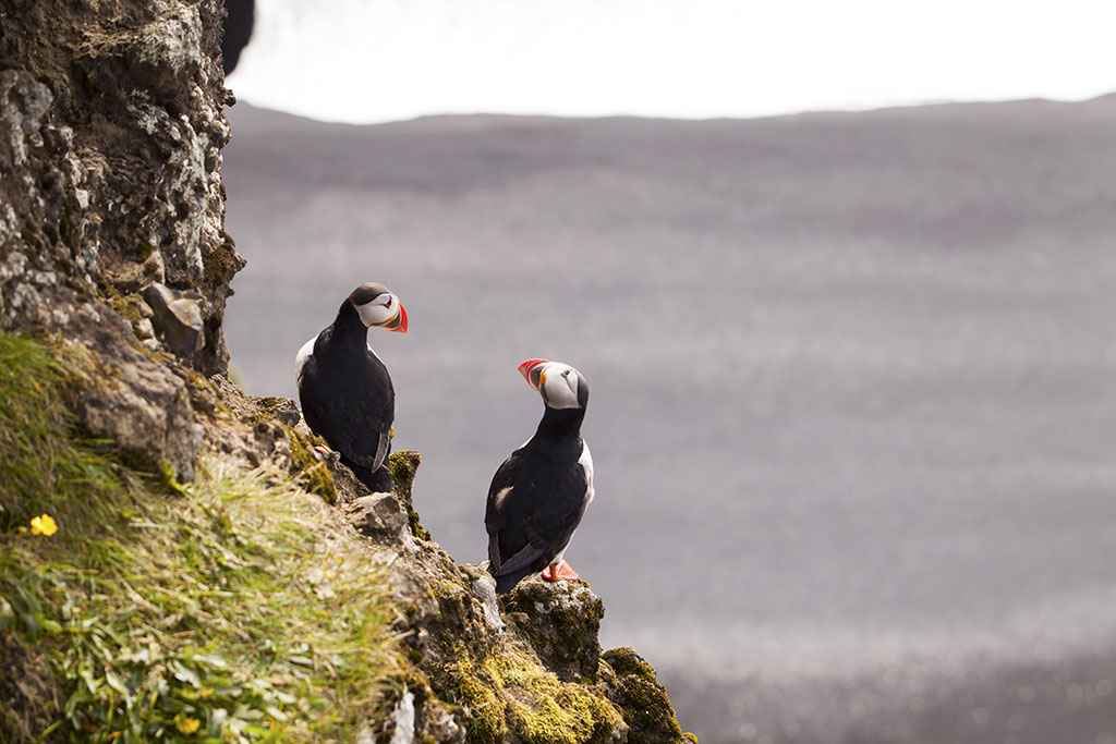Lassen Sie uns reden?