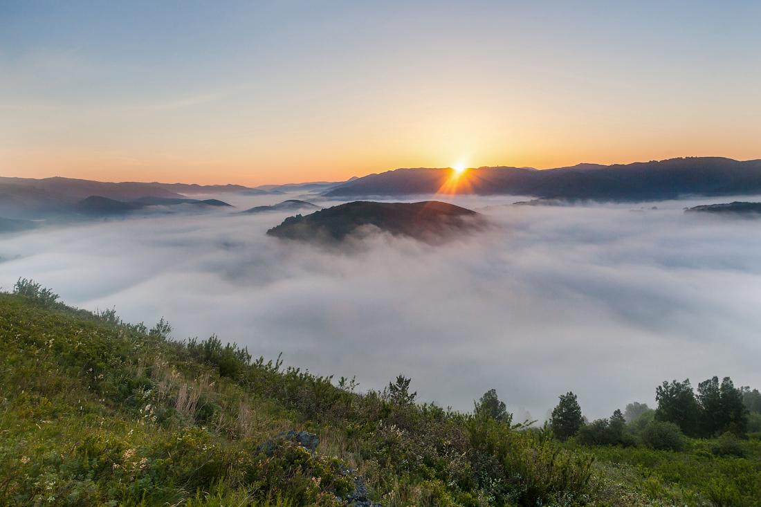 Goldene Sonnenstrahl)))