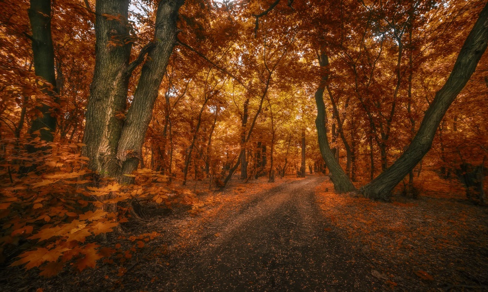 Das Einatmen der Geruch von faulen Blätter