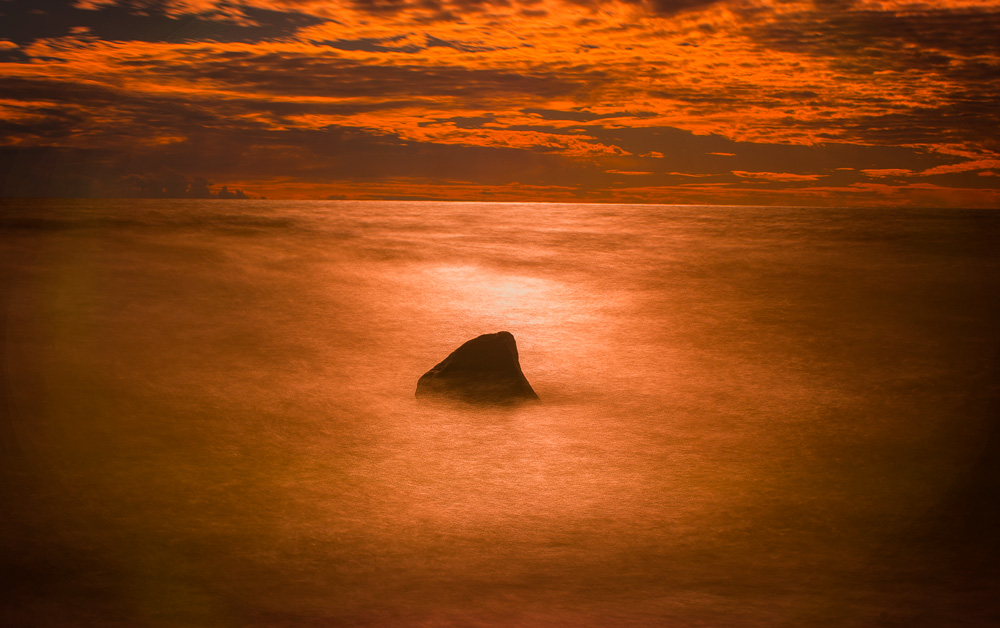 "Traum über Fische"