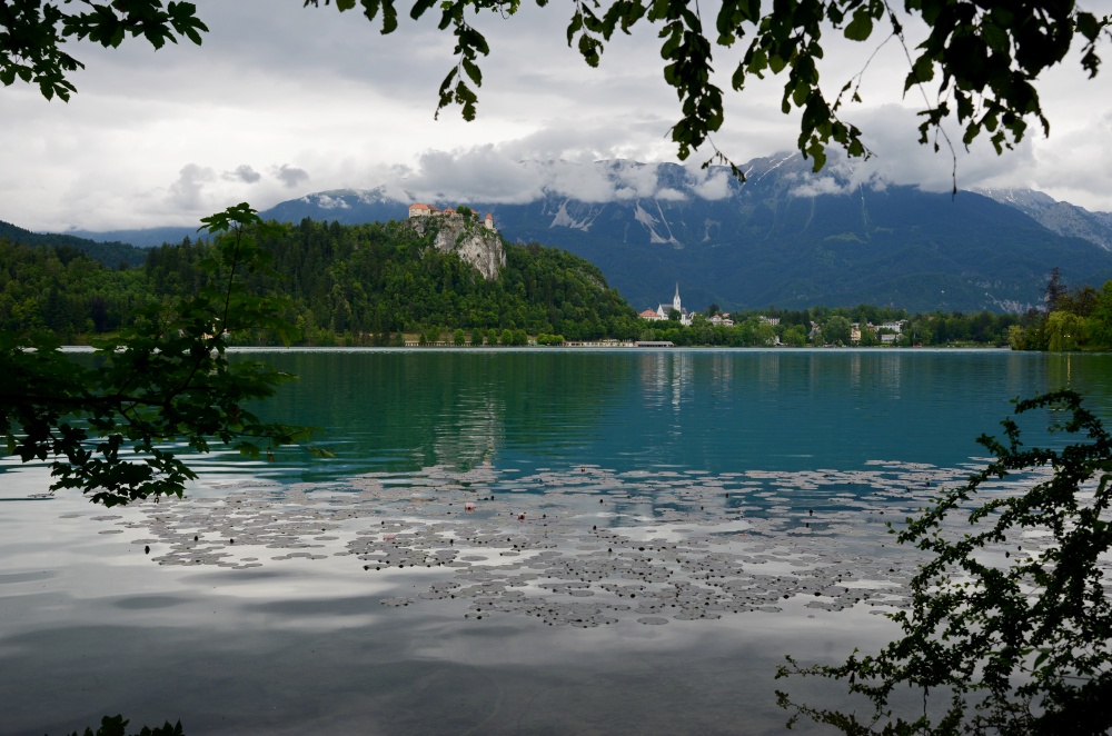 See von Bled.
