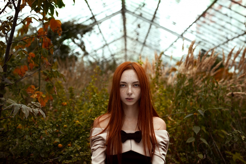 Geschenke des Herbstes