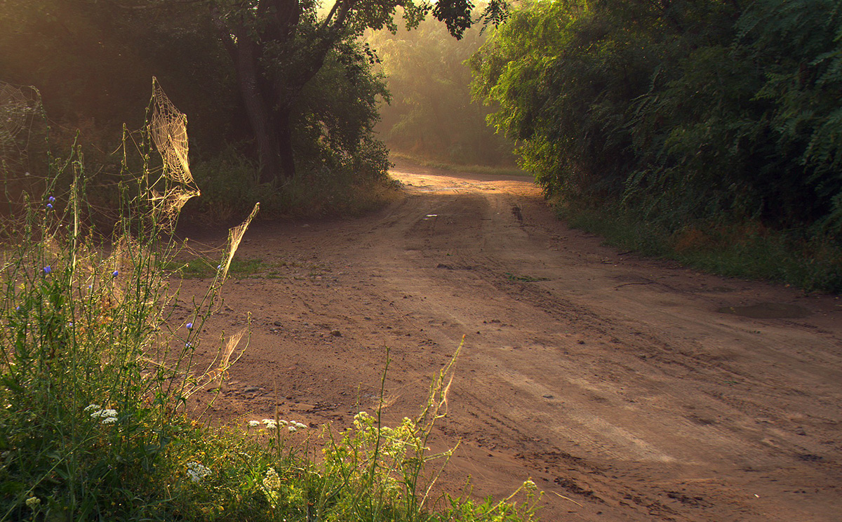 Votota ein neuer Tag.
