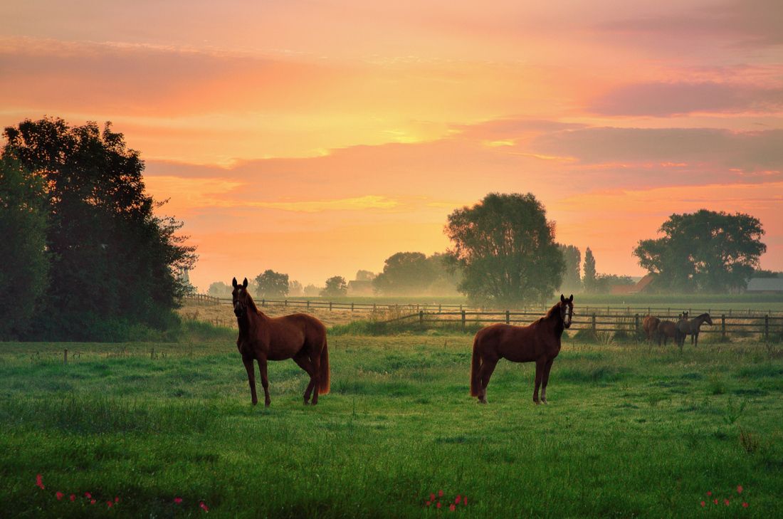 The colors of this morning.