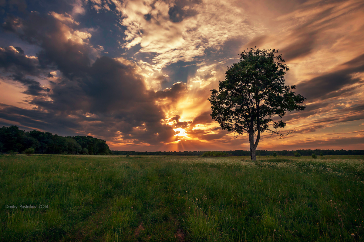 Jeden Tag sehen, Sonnenuntergänge ...