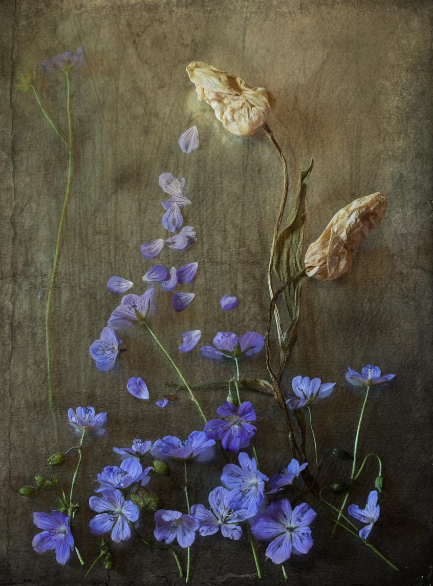 Aus der Serie "Bilder :) .."