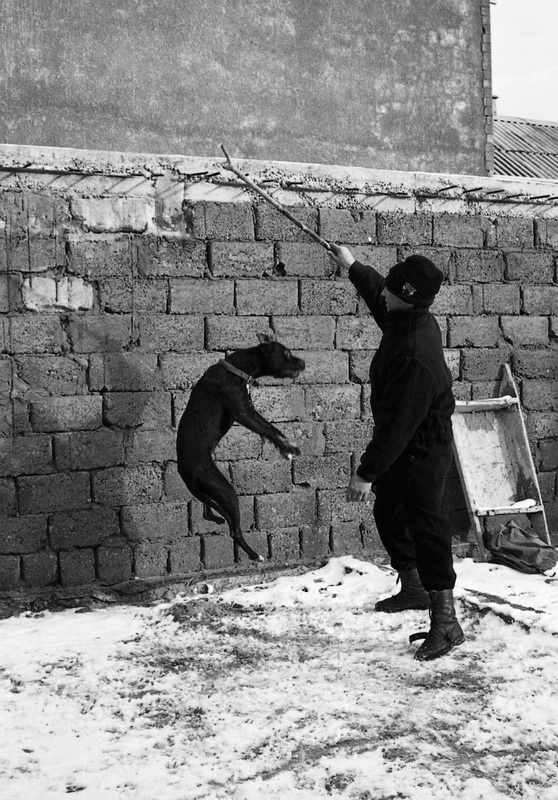 Tschetschenischen mit einem Hund