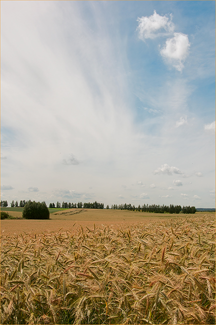 Ob wir Brot, oder Pferde mit Hafer sein :)