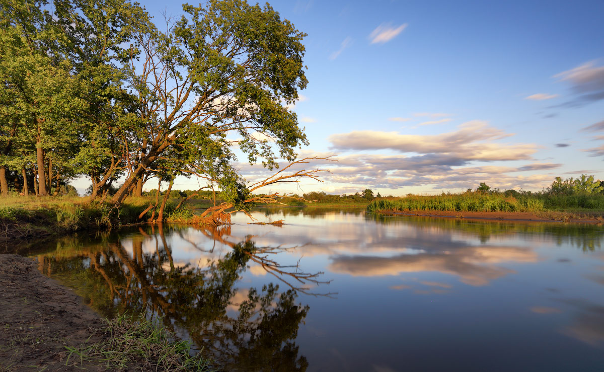 Über der spiegelartigen Oberfläche