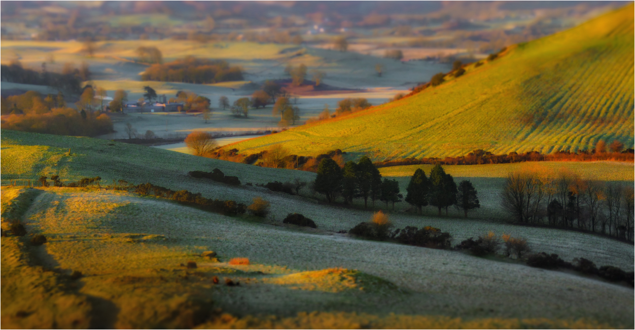 Februar Frost erinnern ... ...