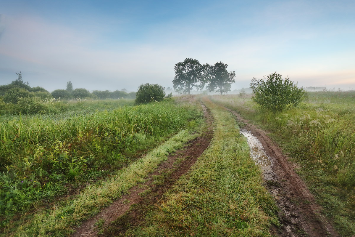 Junimorgen auf der Beresina