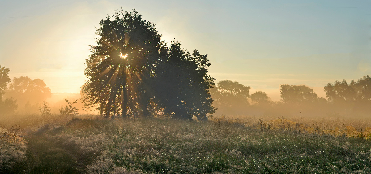Vanilla Morgengrauen