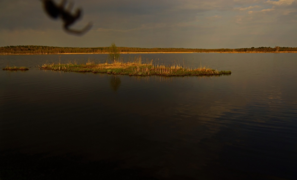 Torfokarer in Afonino