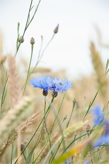 Physiker am Steuer ... :) ...