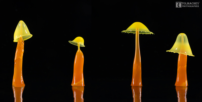 Splash "phantasieren :-)"