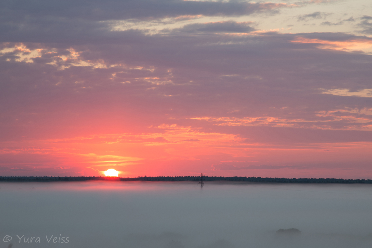 Nebel am frühen Morgen ......
