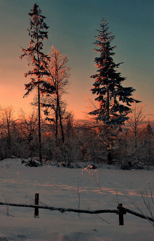 Auf dem Weg in die Karpaten