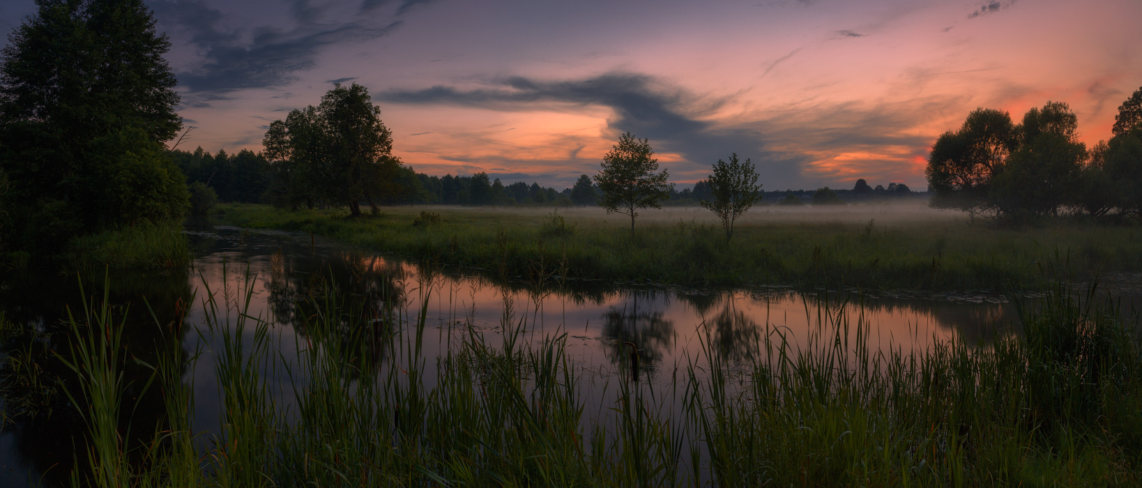 Sommer in der Abenddämmerung