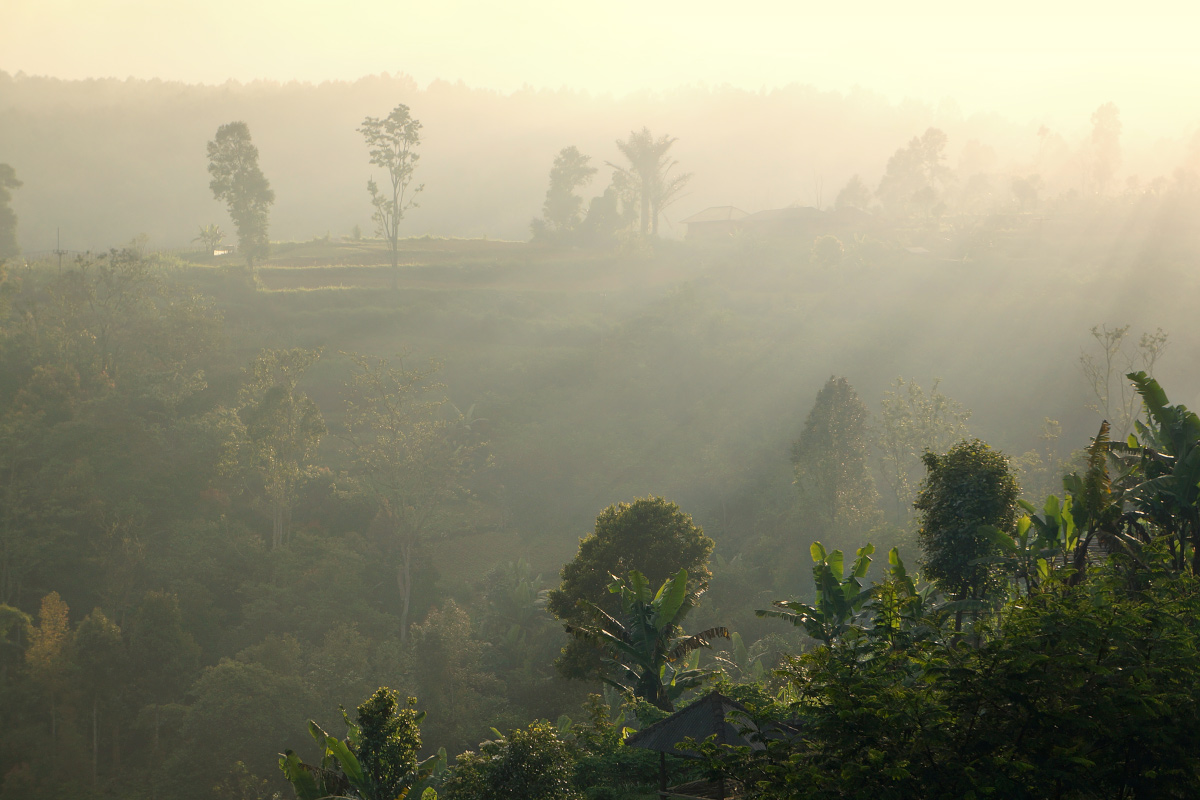 Und der Schnee auf dem Äquator fall