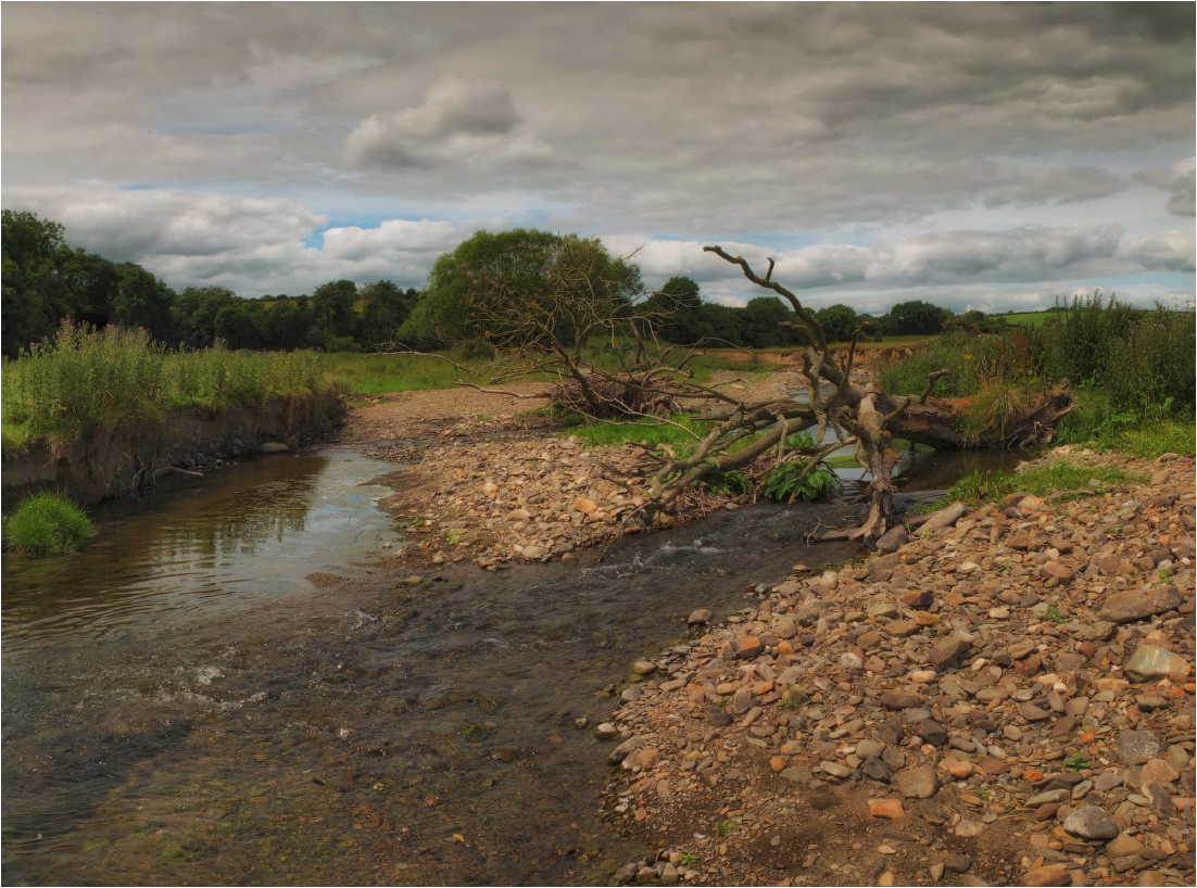 ... Über geringer Wasser-und koryazhki ...