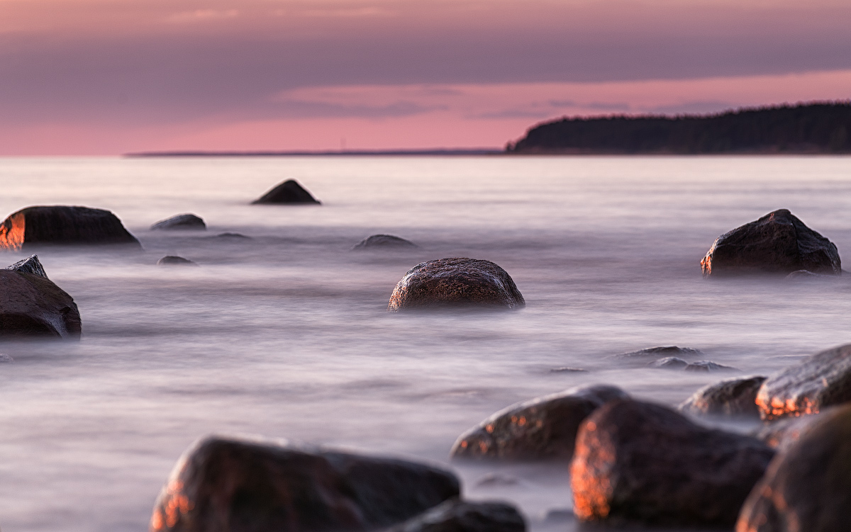 Bronze in Heidelbeermilch