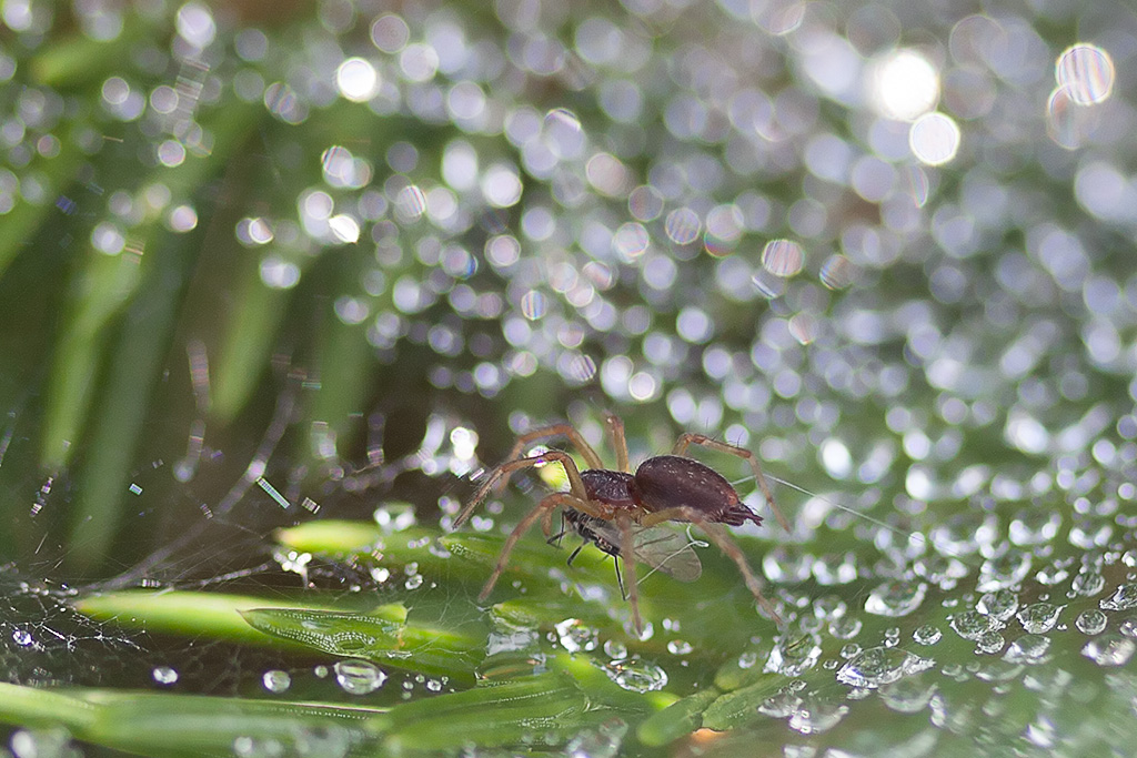 Unsere fly in eine Ecke gezogen