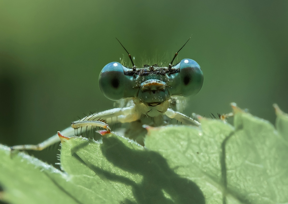Lassen Sie uns reden ...