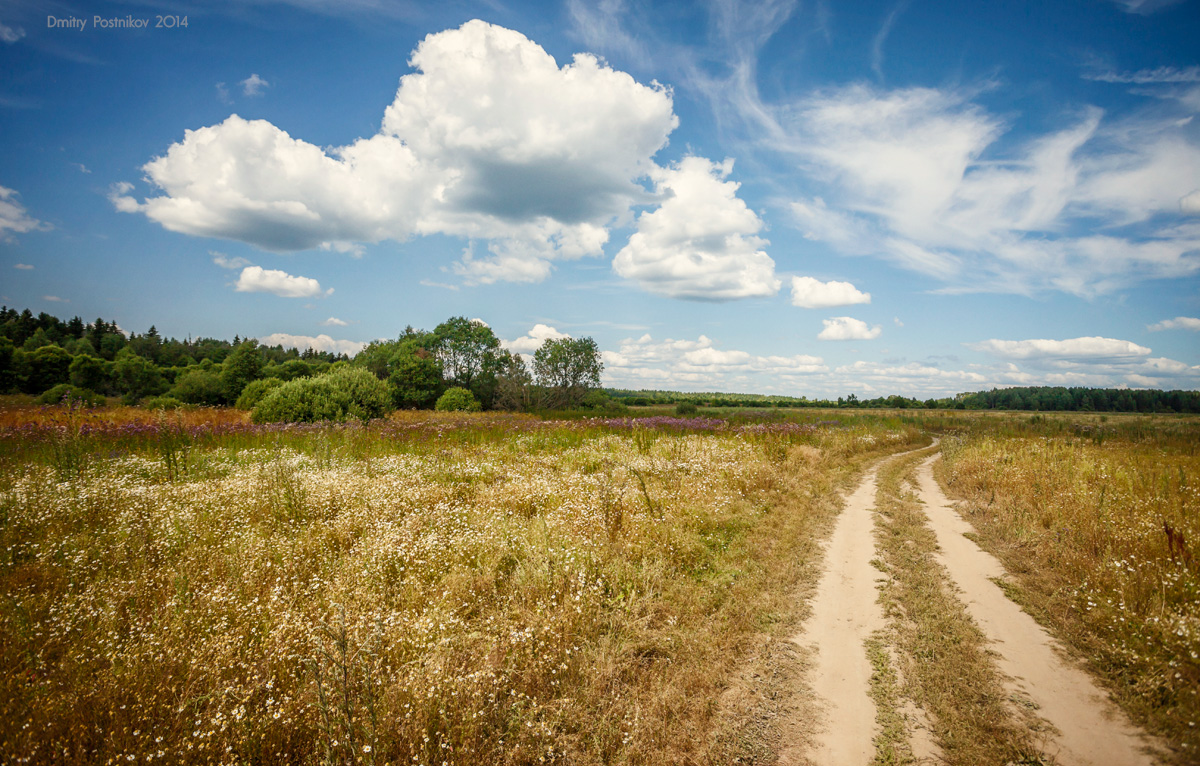 Irgendwo in der Mitte des Sommers ...