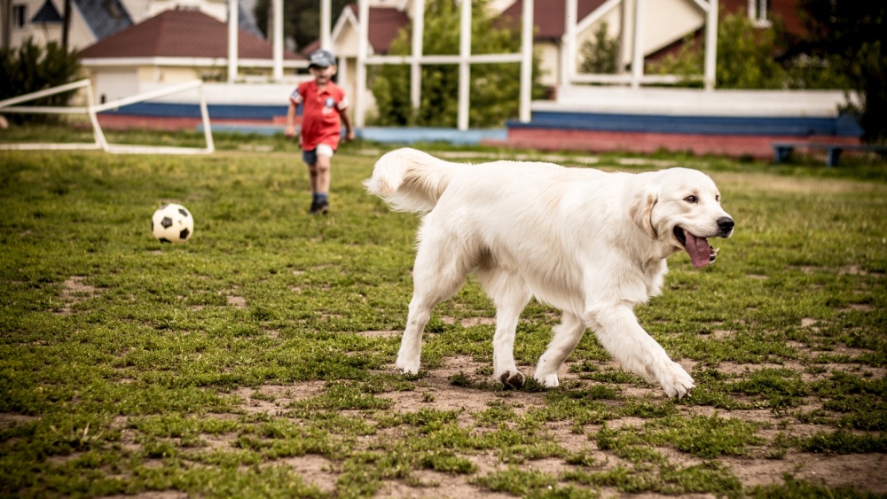 "Ich bin auf eine Pause!"